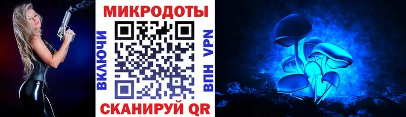 Купить  Нерехта  Галлюциногенные грибы Psilocybine cubensis 